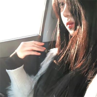 豺狼计划
